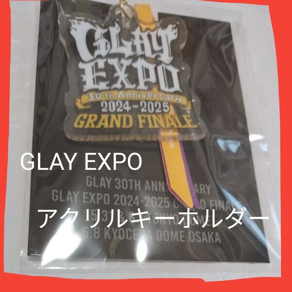 ※説明必読!価格相談不可!GLAY EXPO アクリル キーホルダーTERU.TAKURO.HISASHI.JIRO
