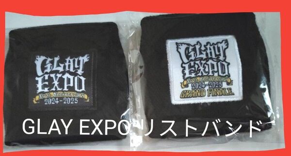 ※説明必読!価格相談不可!GLAY EXPO ドーム リストバンド 2種セットTERU.TAKURO.HISASHI.JIRO