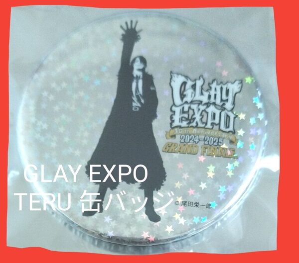 ※説明必読!価格相談不可! GLAY TERU 缶バッジ ランダムグッズ ※翌日発送可