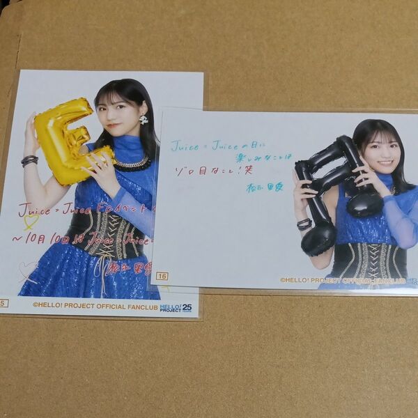 松永里愛 セット Juice=Juice FCイベント2023 コレクション生写真