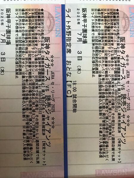 7月3日 7/3 阪神甲子園球場 阪神タイガース対読売ジャイアンツ ライト外野席 中段 2枚 前後席 ハット プレゼント