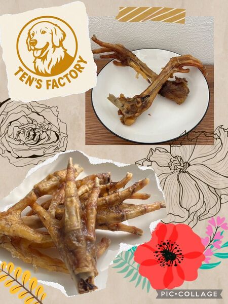 若鶏もみじ6本 若鶏もみじ足つき2本 無添加 犬のおやつ ジャーキー お得セット