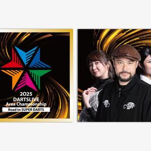 ダーツライブ 開催店舗限定 ブラックホール H賞 ステッカー 2種 セット ②