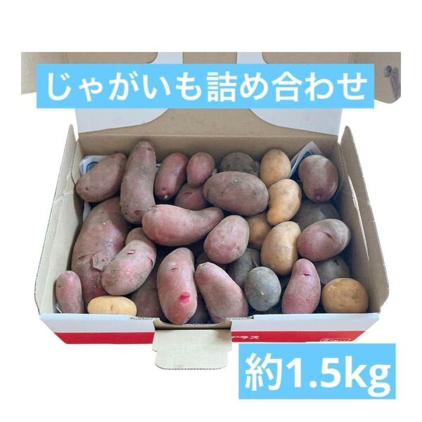 無農薬じゃがいも詰め合わせセット ノーブルシャドー ノーザンルビー ながさきこがね 約1.5kg(箱込み)
