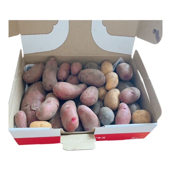 無農薬 じゃがいも詰め合わせセット 新じゃがいもミックス 約1.4kg(箱込み)