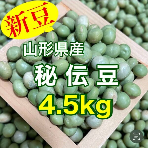 【新豆】山形県産青大豆 秘伝豆 4.5kg