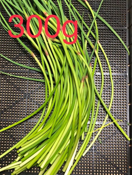にんにくの芽 300g