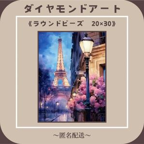 【ダイヤモンドアート】 ビーズアート ラウンドビーズ 20×30