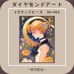 【ダイヤモンドアート】 ビーズアート ラウンドビーズ 30×40