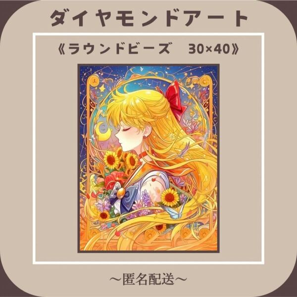 【ダイヤモンドアート】 ビーズアート ラウンドビーズ 30×40