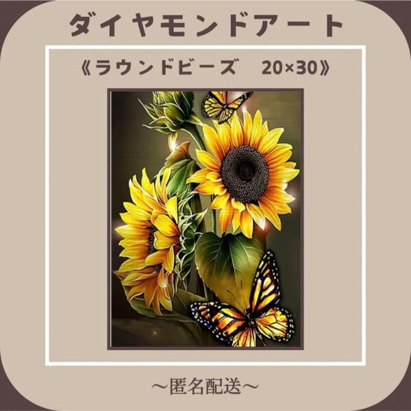 【ダイヤモンドアート】 ビーズアート ラウンドビーズ 20×30