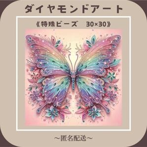 【ダイヤモンドアート】 ビーズアート 特殊ビーズ 30×30