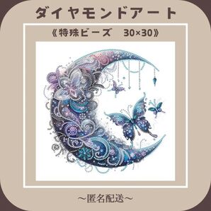 【ダイヤモンドアート】 ビーズアート 特殊ビーズ 30×30