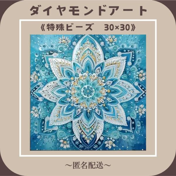 【ダイヤモンドアート】 ビーズアート 特殊ビーズ 30×30