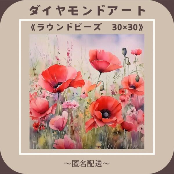 【ダイヤモンドアート】 ビーズアート ラウンドビーズ 30×30