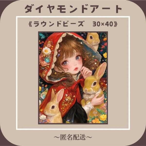【ダイヤモンドアート】 ビーズアート ラウンドビーズ 30×40