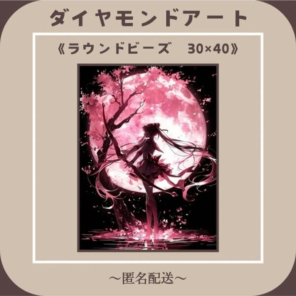 【ダイヤモンドアート】 ビーズアート ラウンドビーズ 30×40