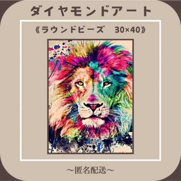【ダイヤモンドアート】 ビーズアート ラウンドビーズ 30×40