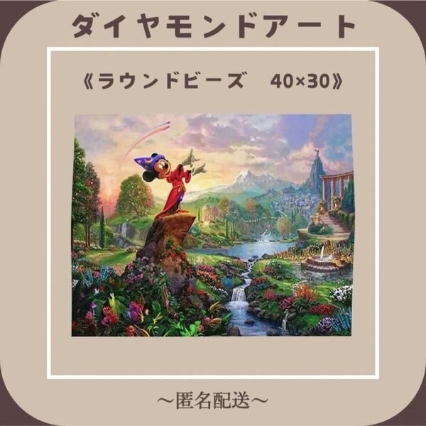 【ダイヤモンドアート】 ビーズアート ラウンドビーズ 40×30