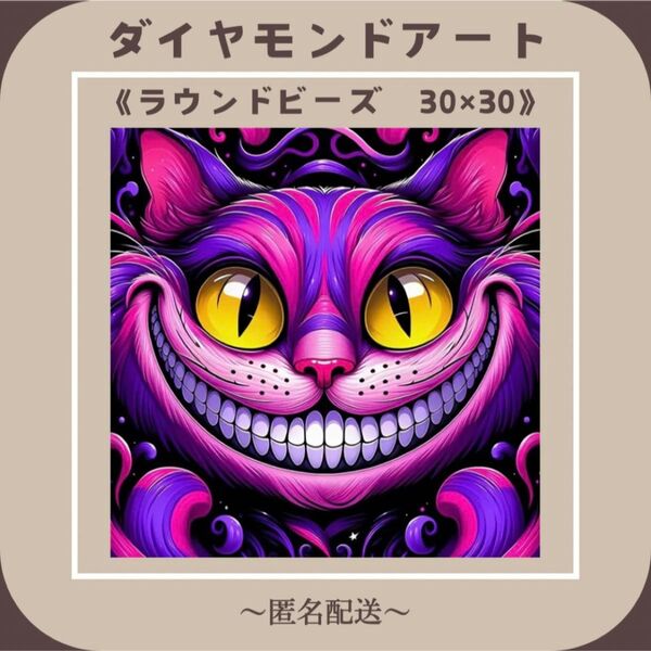 【ダイヤモンドアート】 ビーズアート ラウンドビーズ 30×30