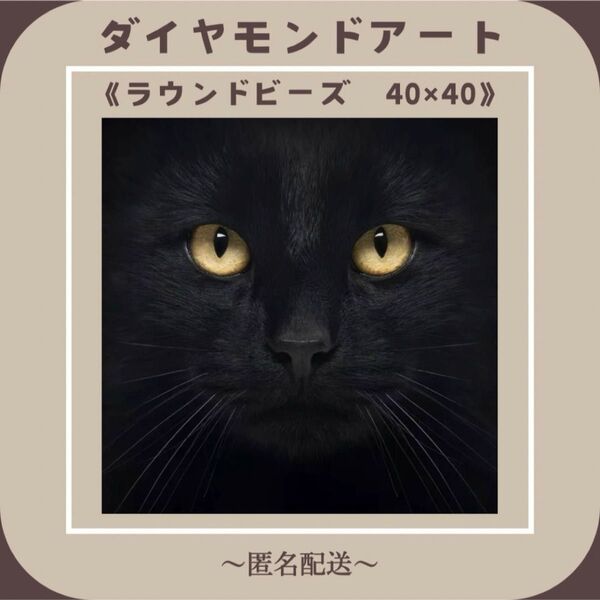 【ダイヤモンドアート】 ビーズアート ラウンドビーズ 40×40