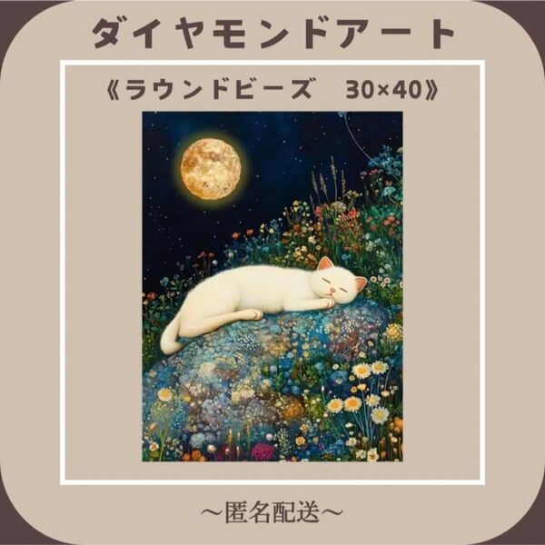 【ダイヤモンドアート】 ビーズアート ラウンドビーズ 30×40