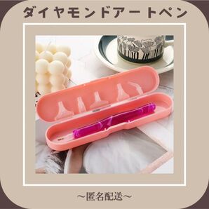 【ダイヤモンドアートペン】 レッドローズ ヘッド6点セット 新品未開封