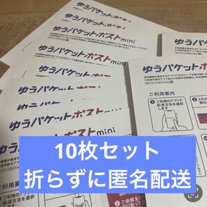 ゆうパケットポストmini 発送専用封筒 10枚セット