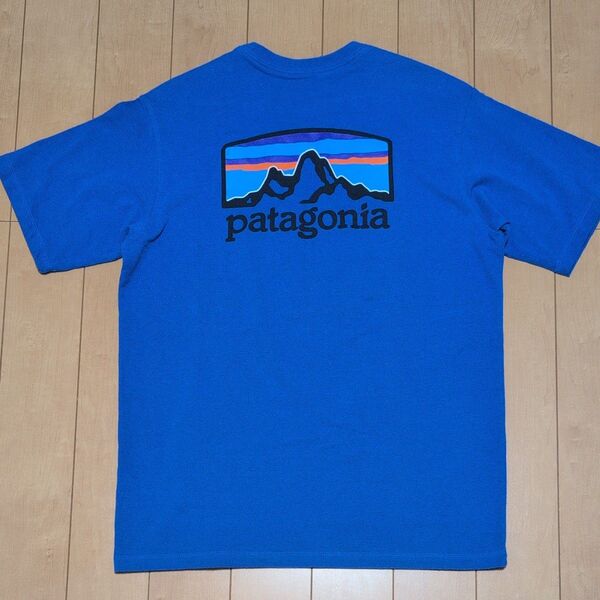 patagonia パタゴニア 半袖 Tシャツ S 青