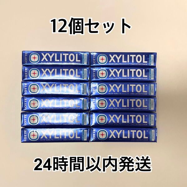 ロッテ キシリトールガム フレッシュミント 12コ LOTTE XYLITOL