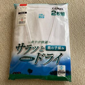 グンゼ 半袖V首シャツ 2枚組