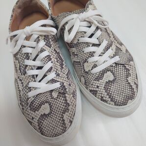 BOEMOS ボエモス パイソン柄 レザー スニーカー イタリア製 23cm