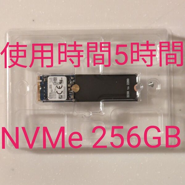 KIOXIA M.2 NVMe SSD 256GB KBG40ZNS256G使用時間5時間