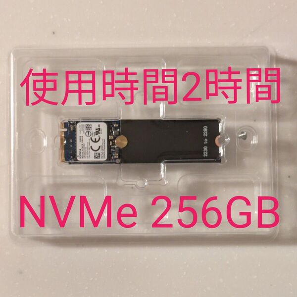 KIOXIA M.2 NVMe SSD 256GB KBG40ZNS256G使用時間2時間