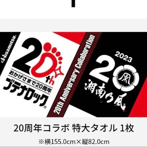 湘南乃風 20周年コラボ 特大タオル