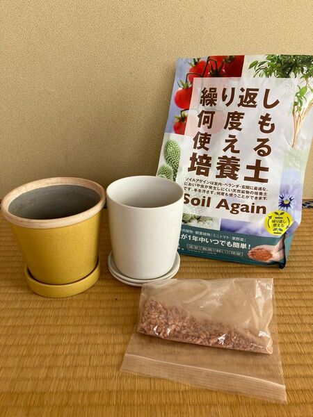 【無印良品】植木鉢 磁器皿2枚 黄色い鉢【繰り返し何度も使える培養土】セット売り 観葉植物