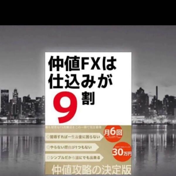 【定価:59,800円】FX 仲値FXは仕込みが9割【完全攻略マニュアル】 USDJPYに特化!!