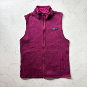 Patagonia パタゴニア フリースベスト