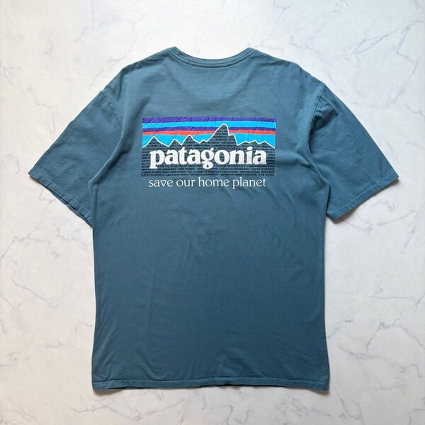 patagonia パタゴニア Organic Cotton 半袖Tシャツ