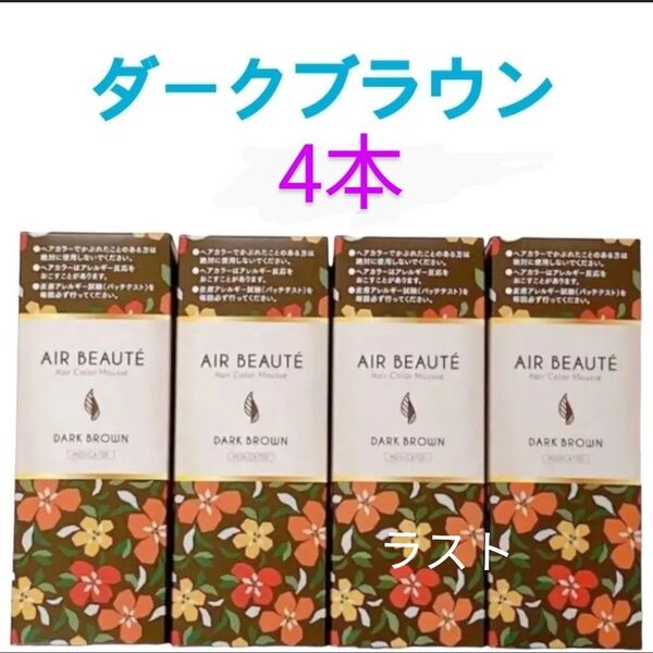 エールボーテ ヘアカラームース ダークブラウン 4本・ 白髪染め 泡タイプ 《 ラスト》