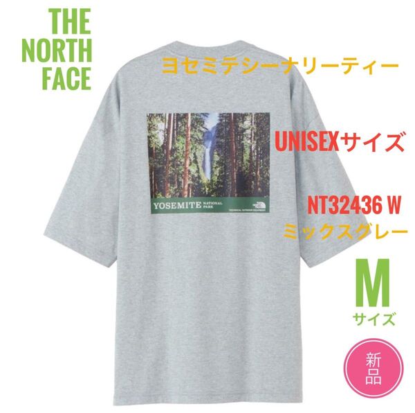 新品☆ノースフェイス ヨセミテシーナリー Tシャツ メンズ M ミックスグレー