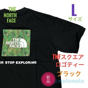 新品☆ノースフェイス TNF スクエアロゴティー Tシャツ メンズ L ブラック