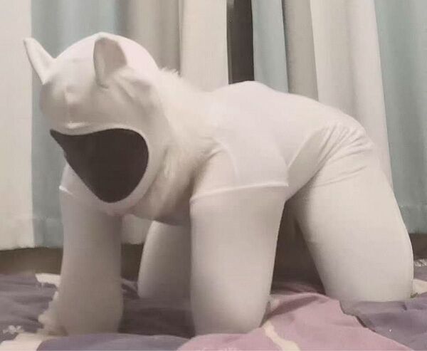 ヒトイヌゼンタイ 全身タイツ zentai leohex amoresy ゼンタイオーダーメイド