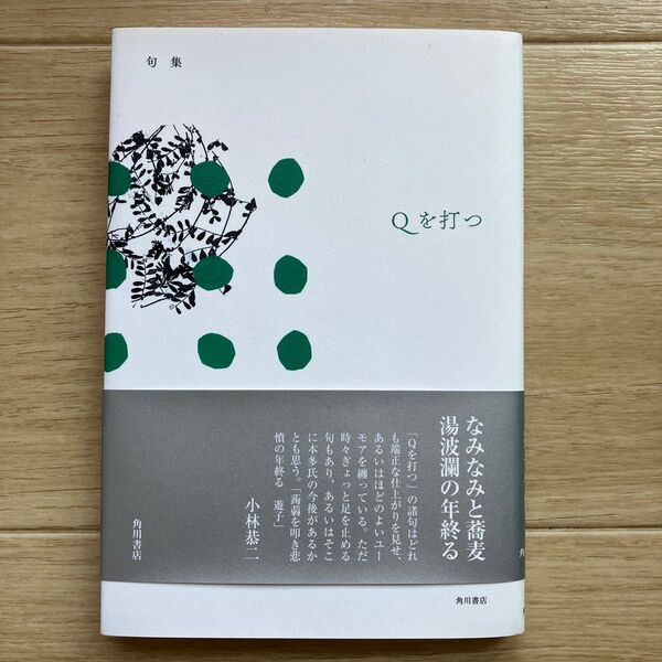 美品 Qを打つ 句集 本多遊子/著