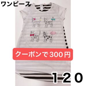 ワンピース 120 猫 ボーダー レース 刺繍 ストライプ 女の子 半袖 動物 半袖Tシャツ カットソー