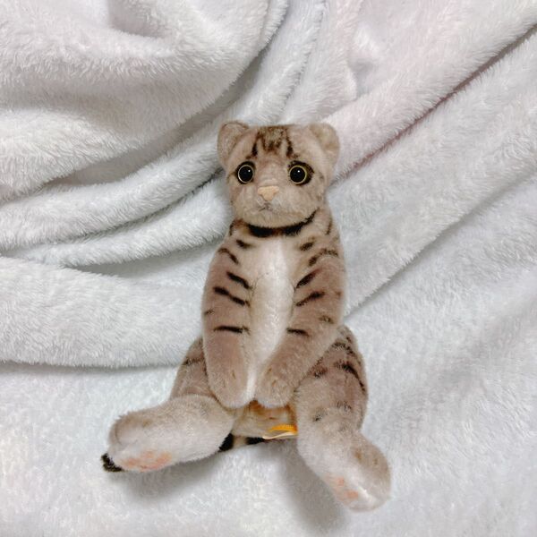 すわっちぃZooにゃんこ ぬいぐるみ キーホルダー 猫 ねこ ぬいぐるみマスコット