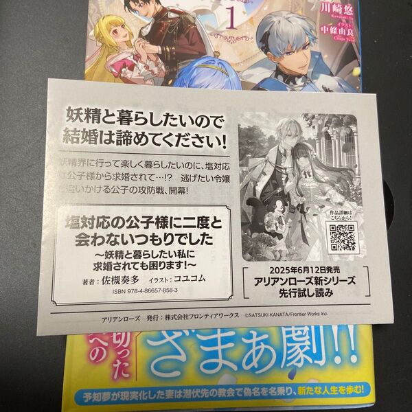 白い結婚を求め、離縁を求められる妻ですが、既に家にはおりません。 1 (アリアンローズ) 川崎悠/著
