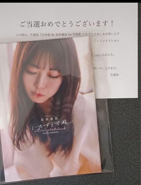 【新品未使用】 乃木坂46 岩本蓮加 1st写真集いたずらな風 アザーカット ミニブック
