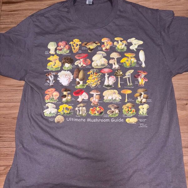 Ultimate Mushroom Guide Tシャツ Mサイズ グレー系 きのこ 図鑑 古着