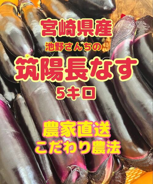 野菜 なす 5キロ 宮崎県産